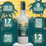 Enjoy Hemp THC Spirit 15mg