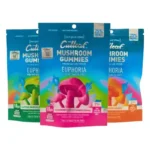 Cutleaf Mushroom Gummies - Sunrise