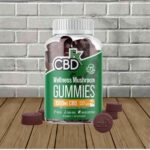 CBDfx Wellness Mushroom Gummies