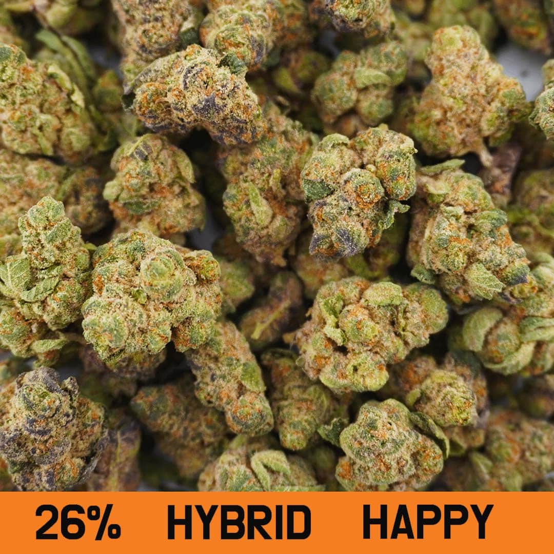 Cheddr THCa Flower - Image 8