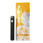 IndaCloud THCa 1G Disposable Vape Pen