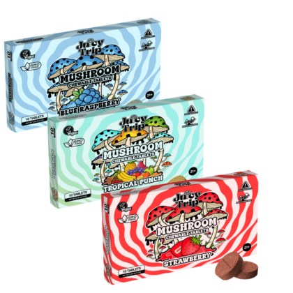 Juicy Trip - Mushroom Chewable Tablets