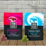 Shroom Kube Functional Mushroom Premium Microdose Gummies