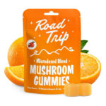 Road Trip Day Trip Microdosed Mushroom Gummies